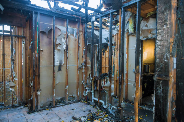 Professional Fire Damage Assessment technician working in Harrison, NY